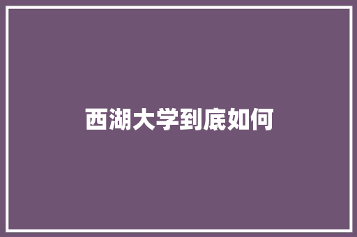 西湖大学到底如何