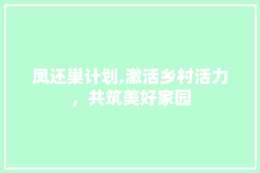 凤还巢计划,激活乡村活力，共筑美好家园