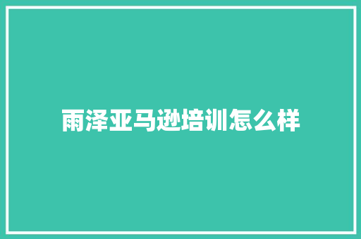 雨泽亚马逊培训怎么样