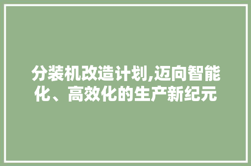 分装机改造计划,迈向智能化、高效化的生产新纪元