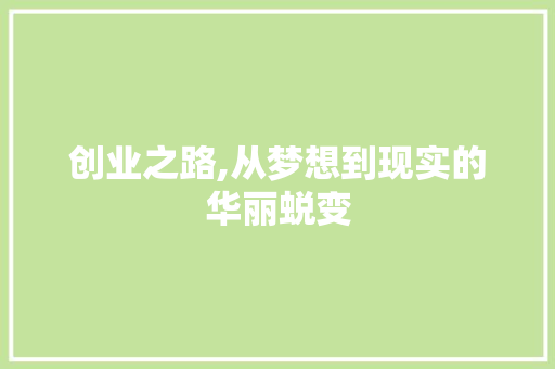 创业之路,从梦想到现实的华丽蜕变 商业计划书范文