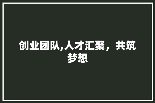 创业团队,人才汇聚，共筑梦想