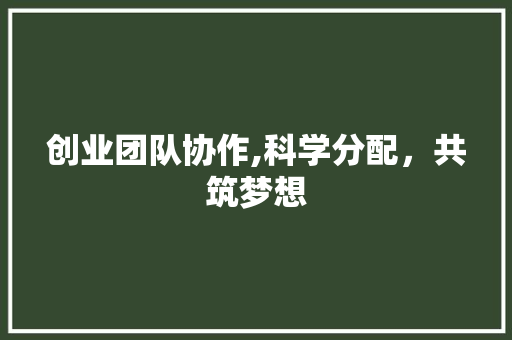 创业团队协作,科学分配，共筑梦想 范文参考