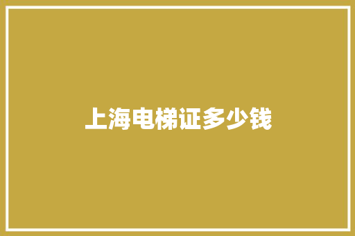 上海电梯证多少钱
