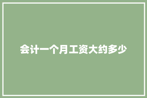 会计一个月工资大约多少