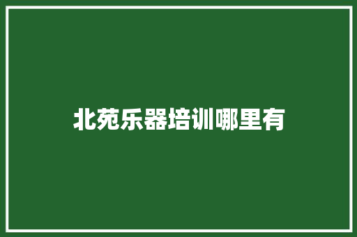 北苑乐器培训哪里有