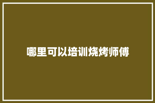 哪里可以培训烧烤师傅 范文精选网