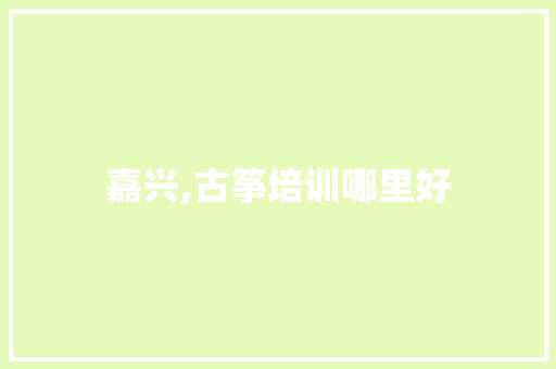 嘉兴,古筝培训哪里好