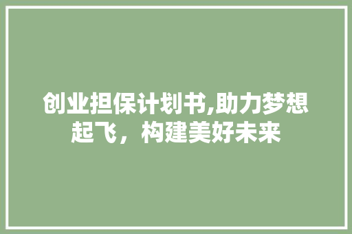 创业担保计划书,助力梦想起飞，构建美好未来