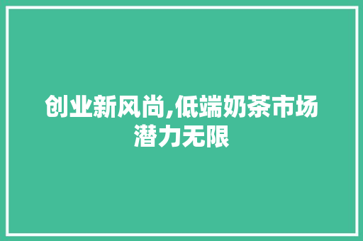 创业新风尚,低端奶茶市场潜力无限