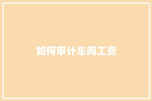 如何审计车间工资