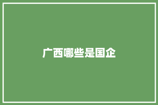 广西哪些是国企