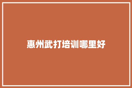 惠州武打培训哪里好