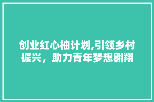 创业红心柚计划,引领乡村振兴，助力青年梦想翱翔