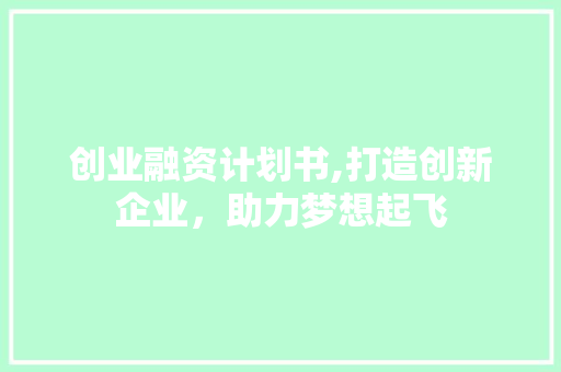创业融资计划书,打造创新企业，助力梦想起飞 范文精选网