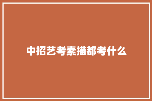 中招艺考素描都考什么