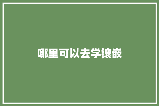哪里可以去学镶嵌