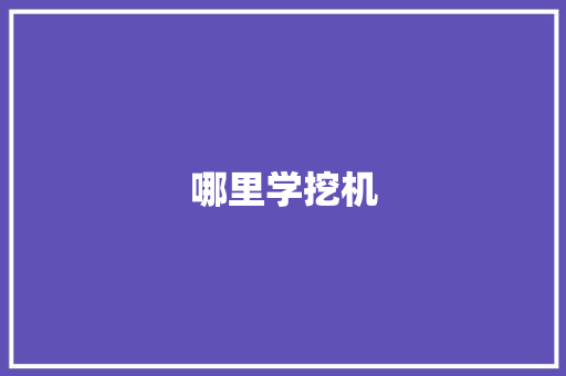 哪里学挖机
