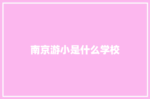南京游小是什么学校 职场应用