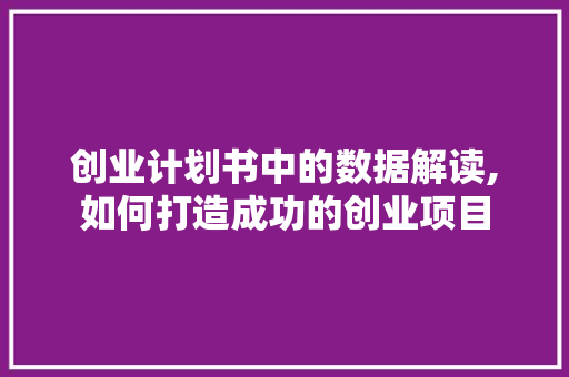 创业计划书中的数据解读,如何打造成功的创业项目