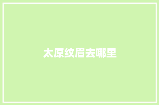 太原纹眉去哪里