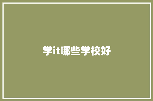 学it哪些学校好