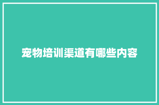 宠物培训渠道有哪些内容