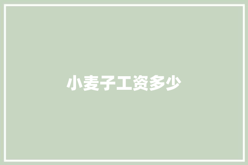小麦子工资多少