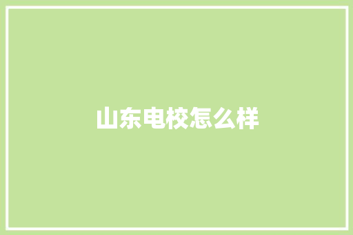 山东电校怎么样