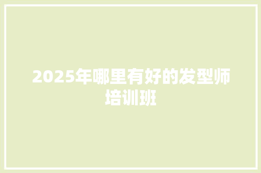 2025年哪里有好的发型师培训班 职场应用