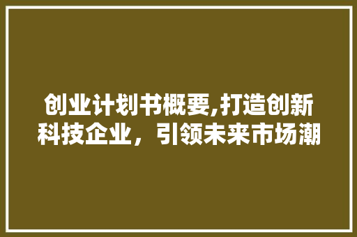 创业计划书概要,打造创新科技企业，引领未来市场潮流