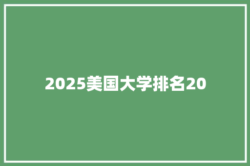 2025美国大学排名20 职场应用