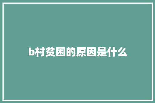 b村贫困的原因是什么 范文宝典
