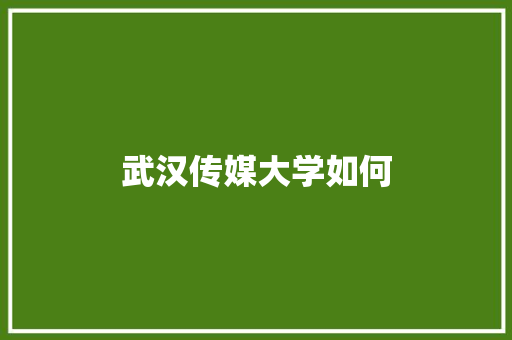 武汉传媒大学如何 优秀范文