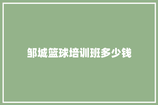 邹城篮球培训班多少钱