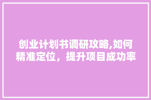 创业计划书调研攻略,如何精准定位，提升项目成功率