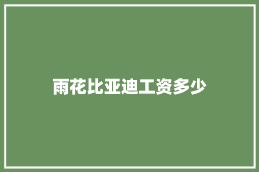 雨花比亚迪工资多少 商业计划书范文
