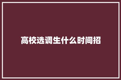 高校选调生什么时间招