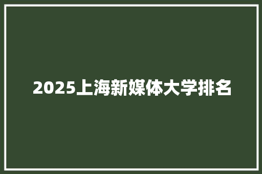 2025上海新媒体大学排名