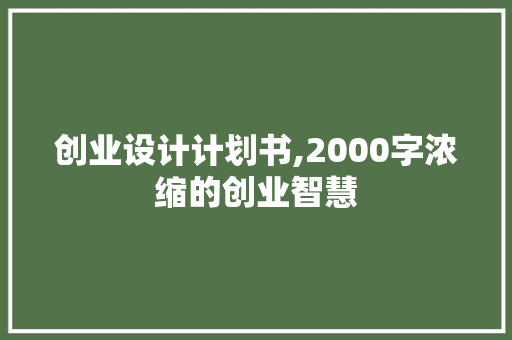 创业设计计划书,2000字浓缩的创业智慧