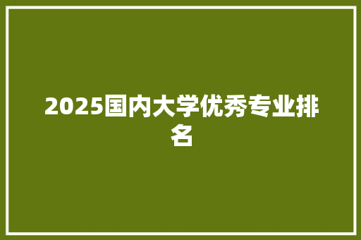 2025国内大学优秀专业排名