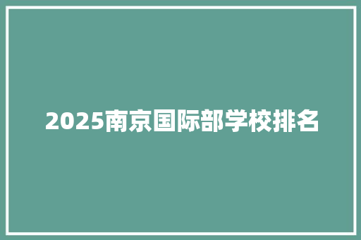 2025南京国际部学校排名 商业计划书范文