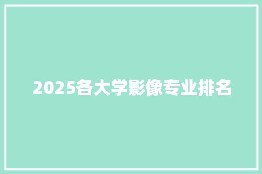 2025各大学影像专业排名