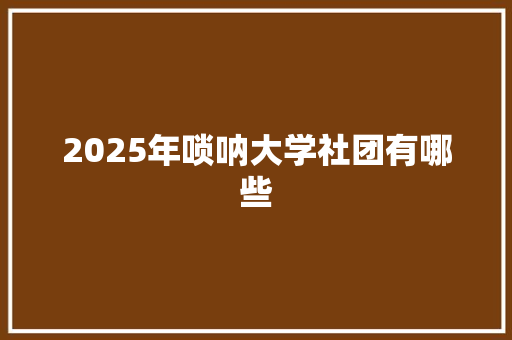 2025年唢呐大学社团有哪些 职场应用