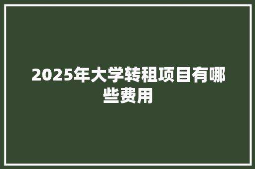 2025年大学转租项目有哪些费用