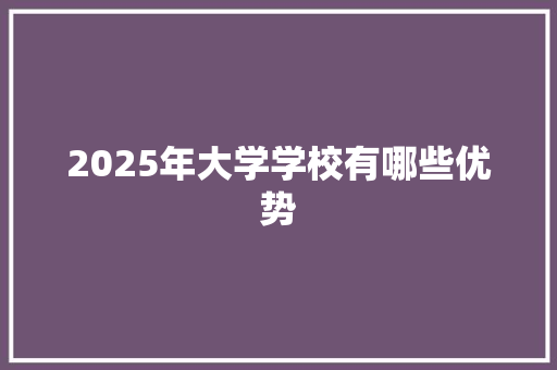 2025年大学学校有哪些优势