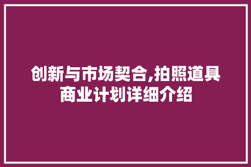 创新与市场契合,拍照道具商业计划详细介绍