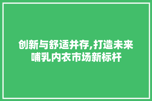 创新与舒适并存,打造未来哺乳内衣市场新标杆