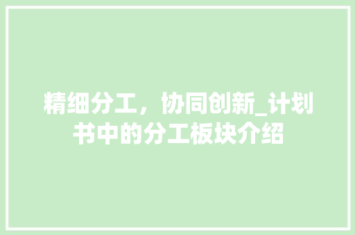 精细分工，协同创新_计划书中的分工板块介绍